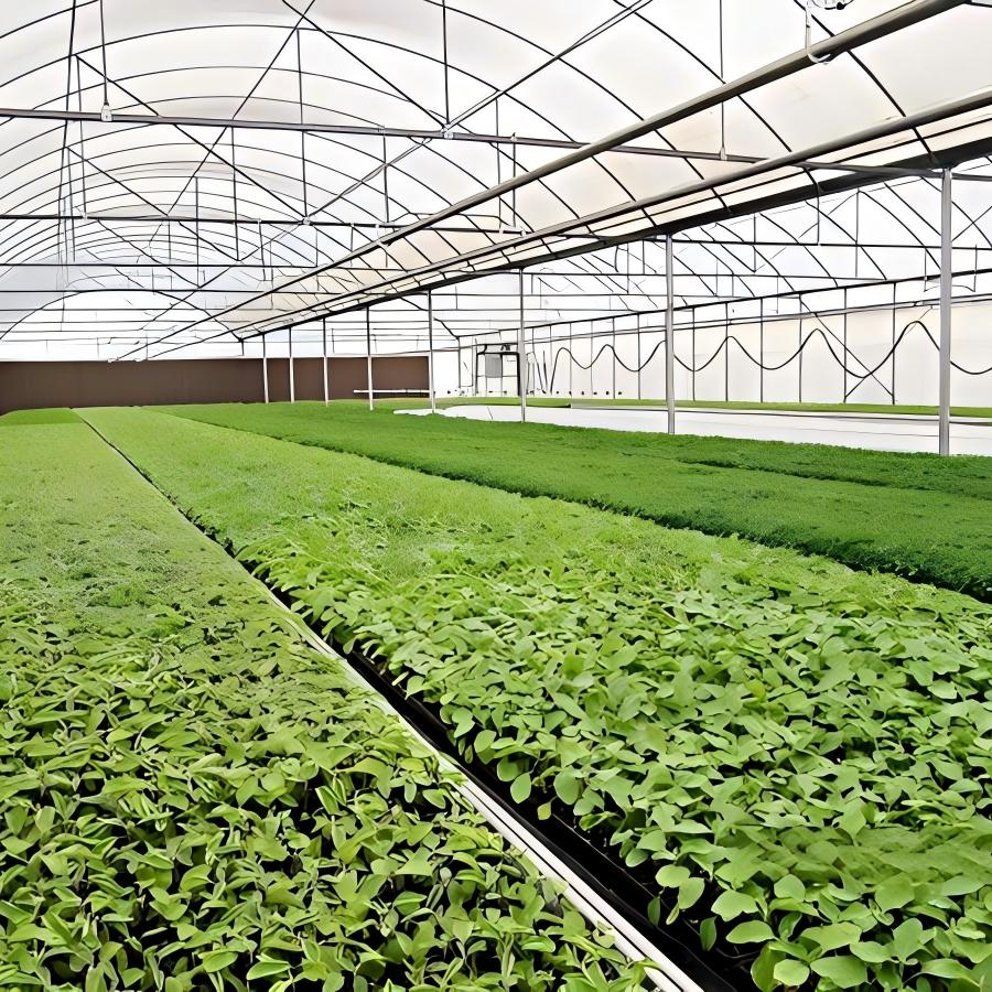 Crop Production Greenhouse Commercial Grade
